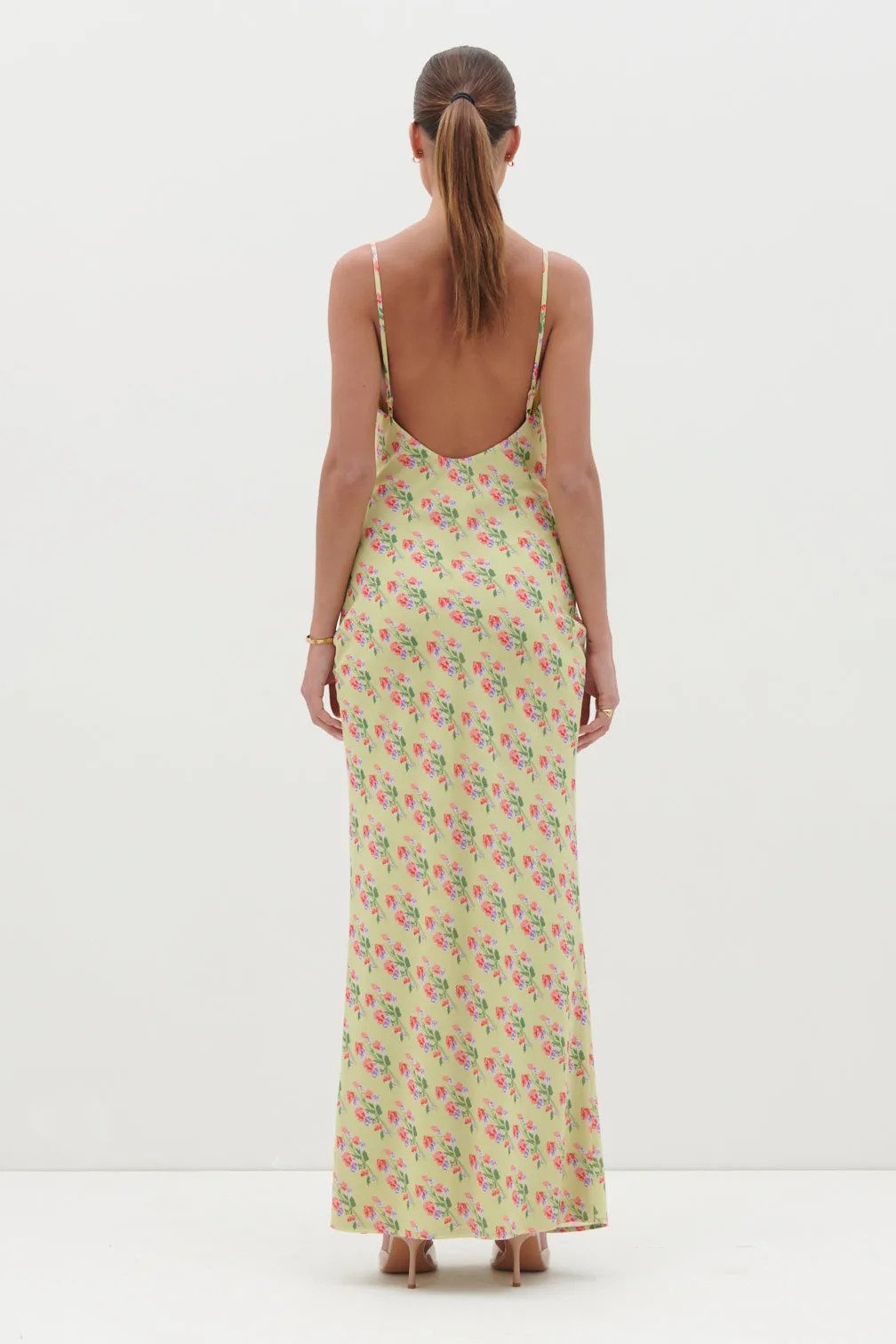 Keisha Printed Chiffon Maxi Dress - Botanic Floral