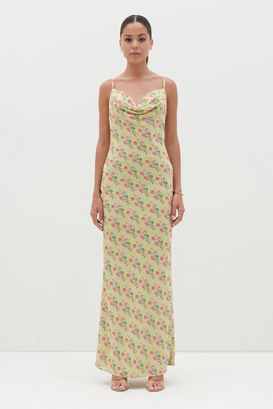 Keisha Printed Chiffon Maxi Dress - Botanic Floral