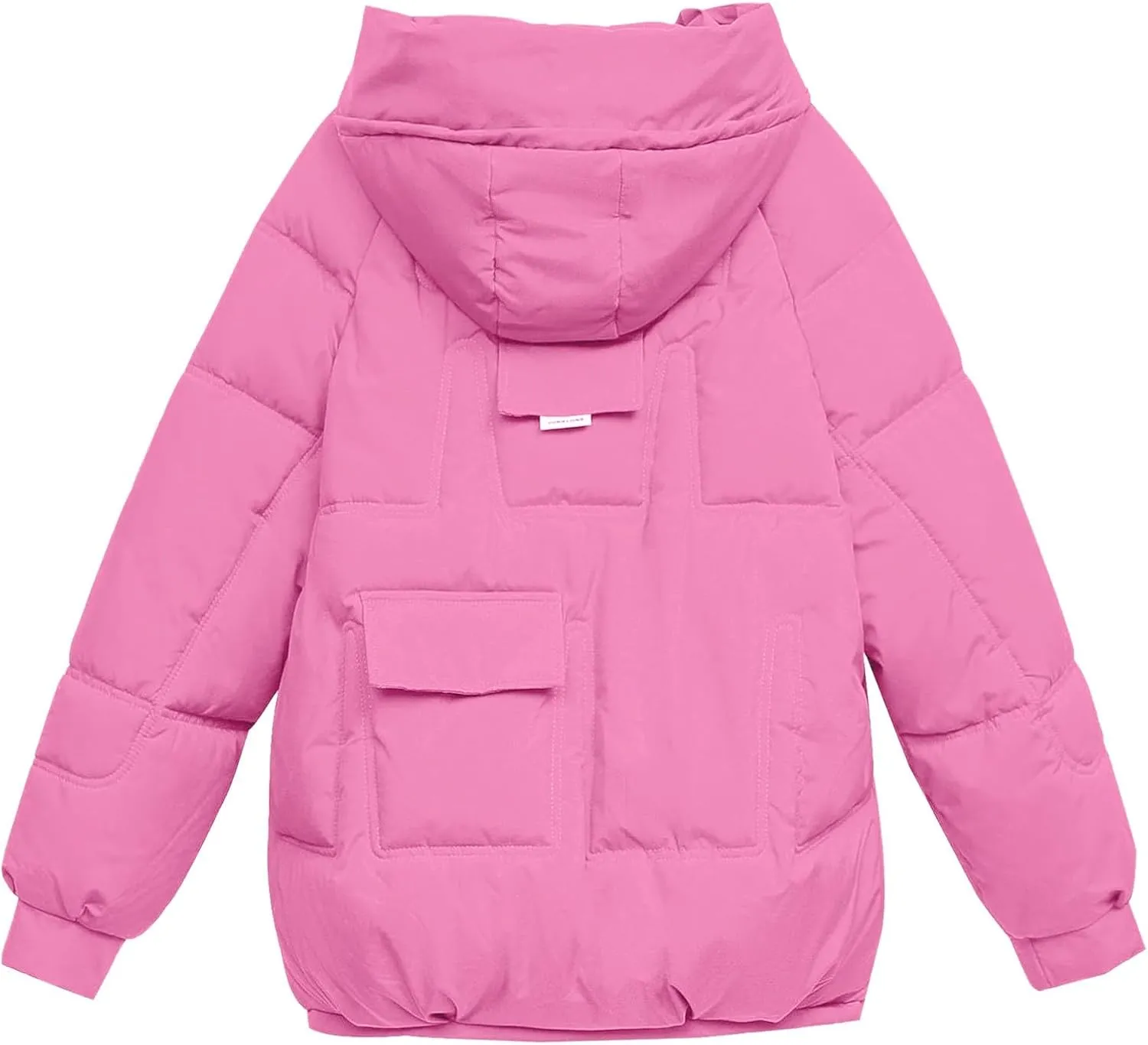 Winter Coats for Women Hooded Down Jacket Long Sleeve Full Zipper Preppy Quilted Parkas Short Puffer Jacket Outwear