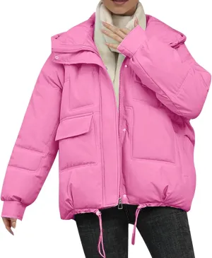 Winter Coats for Women Hooded Down Jacket Long Sleeve Full Zipper Preppy Quilted Parkas Short Puffer Jacket Outwear